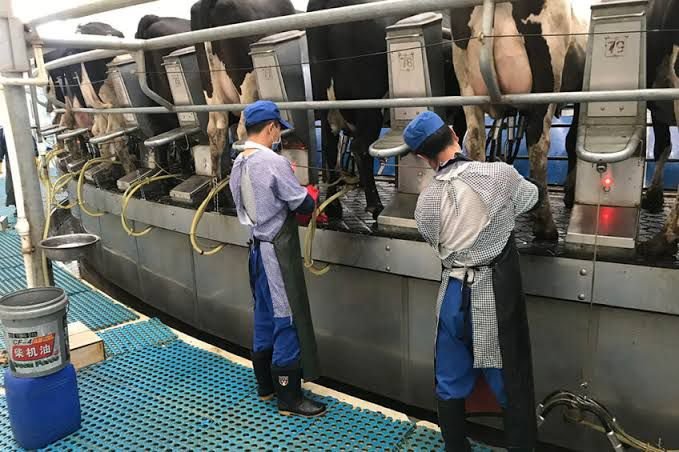 Agricultural logistics and export operations